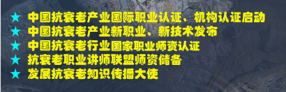 枫叶2小.jpg