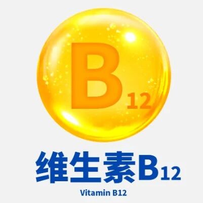 一旦缺乏维生素B12，必须及时补充！