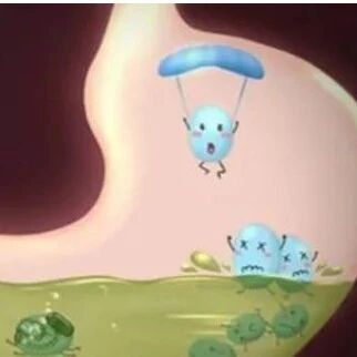 真是天下无人不识“菌”？益生菌的秘密被您发现了！