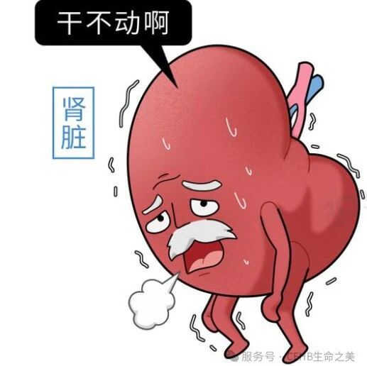 寒冬这些菜尽量少碰，贪多易伤肾，给身体加负担